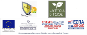 vitsios-etairia-logos